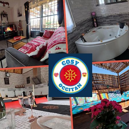 Le Cosy Occitan Villa Chaleureuse Independante Baignoire Terrasse Jardin 卡尔卡松 外观 照片