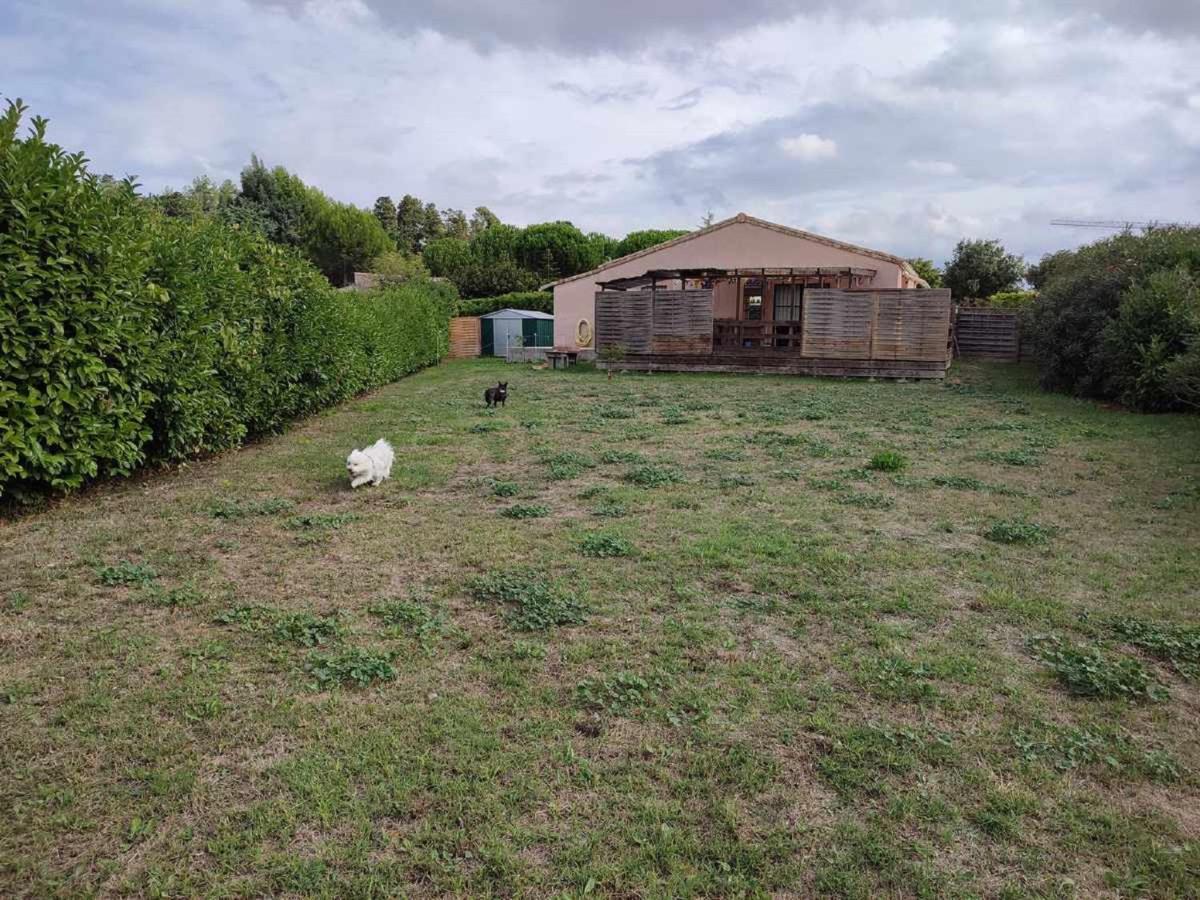 Le Cosy Occitan Villa Chaleureuse Independante Baignoire Terrasse Jardin 卡尔卡松 外观 照片